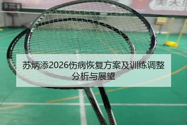 苏炳添2026伤病恢复方案及训练调整分析与展望