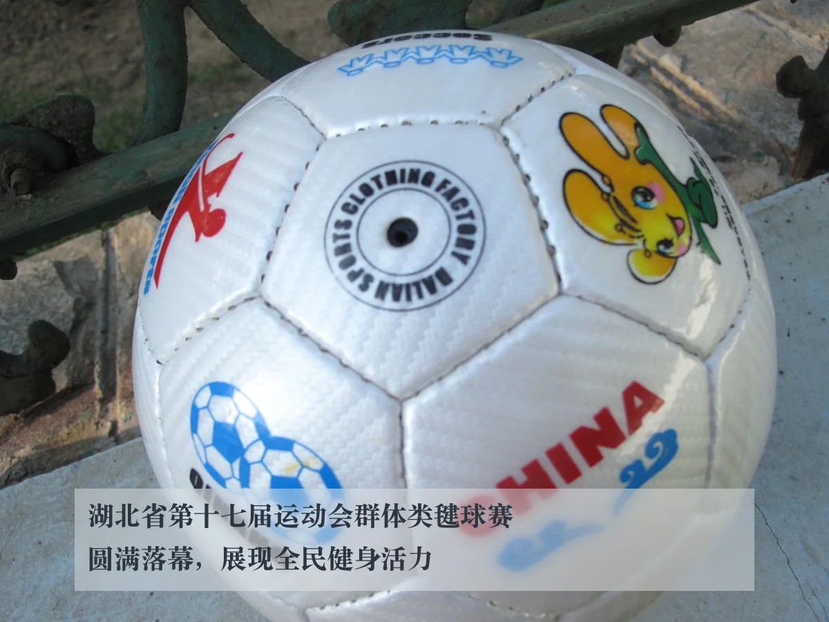 湖北省第十七届运动会群体类毽球赛圆满落幕，展现全民健身活力